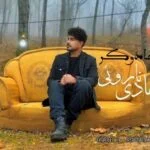 دانلود آهنگ جدید :جادوگر از هادی ناروئی