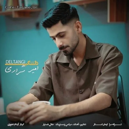 دانلود آهنگ جدید دلتنگی از امیر شراری