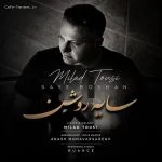 دانلود آهنگ جدید سایه روشن از میلاد طوسی