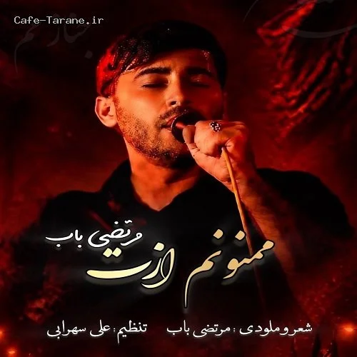 دانلود آهنگ جدید ممنونم ازت از مرتضی باب